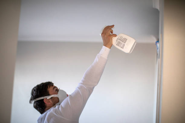 Best Mold Testing  in Wapakoneta, OH