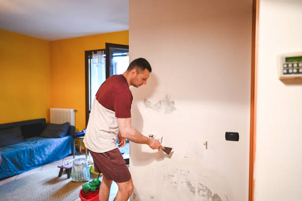 Best Office Mold Removal Services  in Wapakoneta, OH